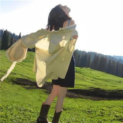 少林与咏春粤语